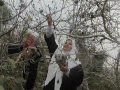 The Question of Palestine and the United Nations