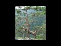 Pieniński Park Narodowy.wmv