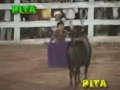 Yo Toreando al Toro el
