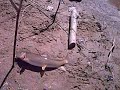Fishing 4 Suckers 2-Sugar Hill Outdoors
