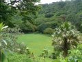 McBryde Gardens Kauai, Hi. - YouTube