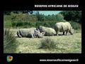 LOISIR \"Réserve Africaine de Sigean\" LOISIR \"Réserve Africaine de Sigean\"