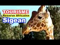 LOISIR Réserve Africaine de Sigean