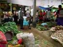 Matara Market