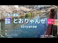 とおりゃんせ 童謡 日の出町桜大岡川