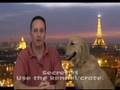 videos de Stop Dog Chewing