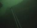 PESCA SUBMARINA LUBINA 2300