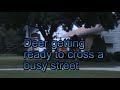 deer crossing.mpg