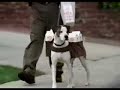 PMS milk commercial PMS milk commercial