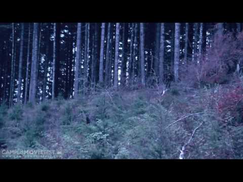 Fallen Dusk Fallen Dusk