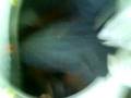 MOV00069.mp4