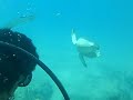 Buceo El Natural, Aguadilla, Puerto Rico 2008
