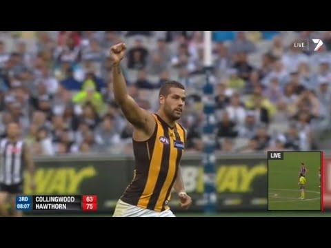 hawthorn - Hawthorn brought there magnificent form from Patersons Stadium to the MCG on Sunday, beating the pies by 55 points. It was a slow first half for the Hawks, b...