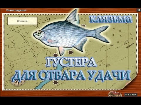 ловим белоглазку на удачу ловим белоглазку на удачу