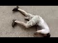 The Best Krav Maga Demo Video Period!