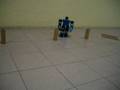 RB1000 All Directional Motion