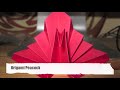 Оригами видеосхема павлина 2