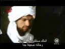 3  الإسلام فى عيون ألمانية