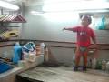 videos de Tendedero