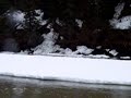 ice shelf slide stikine river