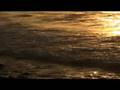 Micah Wolf One by One music video