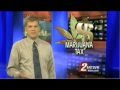 YouTube - MPP Nevada's Dave Schwartz Supports Marijuana Tax ...