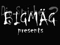 Die Stricher 2 - Gina Wild by BMP