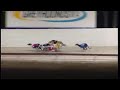 091117 - R07 ethanol boy 1st box1.wmv