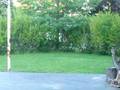 videos de RSW 