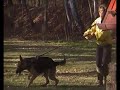 VÝCVIK 29.11 CHEB (10).MP4 JANA TOMŠOVICOVÁ