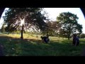 parkour et freerunning 2009