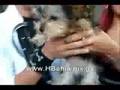 videos de Formas de enamorar con H Bahia y Jose Iorio www.HBahia.mx.gs