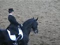 Dressage Sport Horse 21 отктября 2007 года, Московский конный завод №1. Жеребец Гепард , русской верховой породы, под седлом МСМК Веры Минаевой