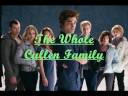 videos de Amazing Twilight Video.