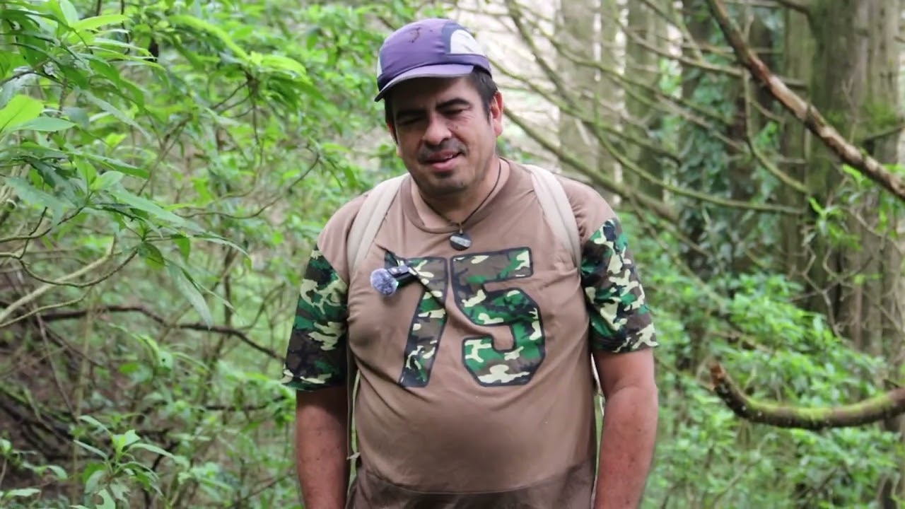 BOSQUE EL LIMO EL SALVADOR