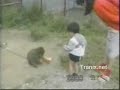 Crazy ass monkey\ Crazy ass monkey\