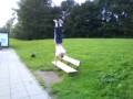 2008 Spare Clips