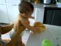 videos de Gordim do pão