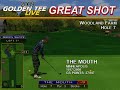 Golden Tee Great Shot on Woodland Farm!