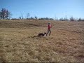 sky frisbe sky frisbe