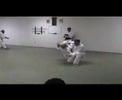 Arm Lock Throw (Ude Garame)