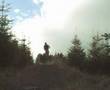 Carron Valley Trails
