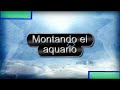 como montar un acuario marino desde cero 