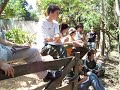 Introdução a Permacultura MIRIM