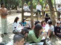 Introdução a Permacultura MIRIM