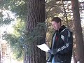 Interview with a Hemlock Tree Interview with a Hemlock Tree
