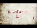 Central National Jersey Show Winter Yearlings