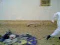 crazy boy