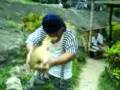 videos de Buko King