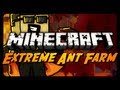 Extreme Ant Farm Survival - Ep. 13 - Death is My Realm!